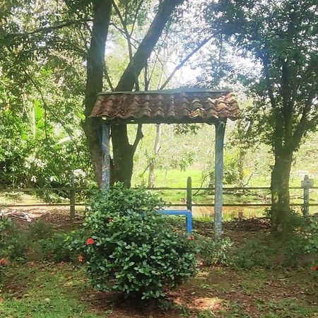 Hotel Maguey Tigre  المظهر الخارجي الصورة