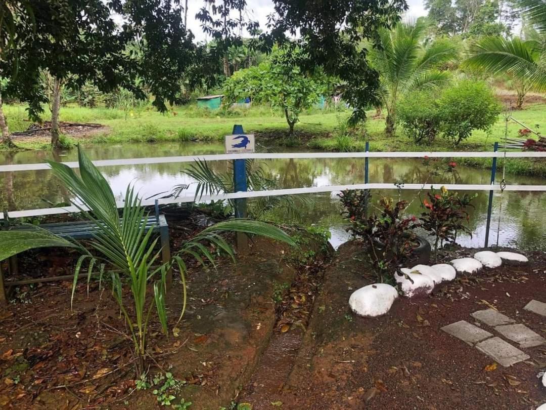 Hotel Maguey Tigre  المظهر الخارجي الصورة