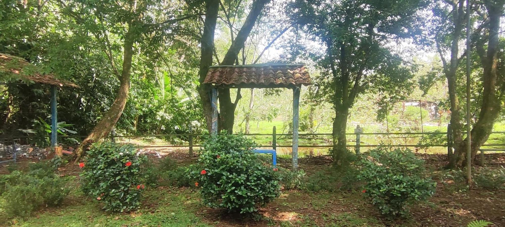 Hotel Maguey Tigre  المظهر الخارجي الصورة