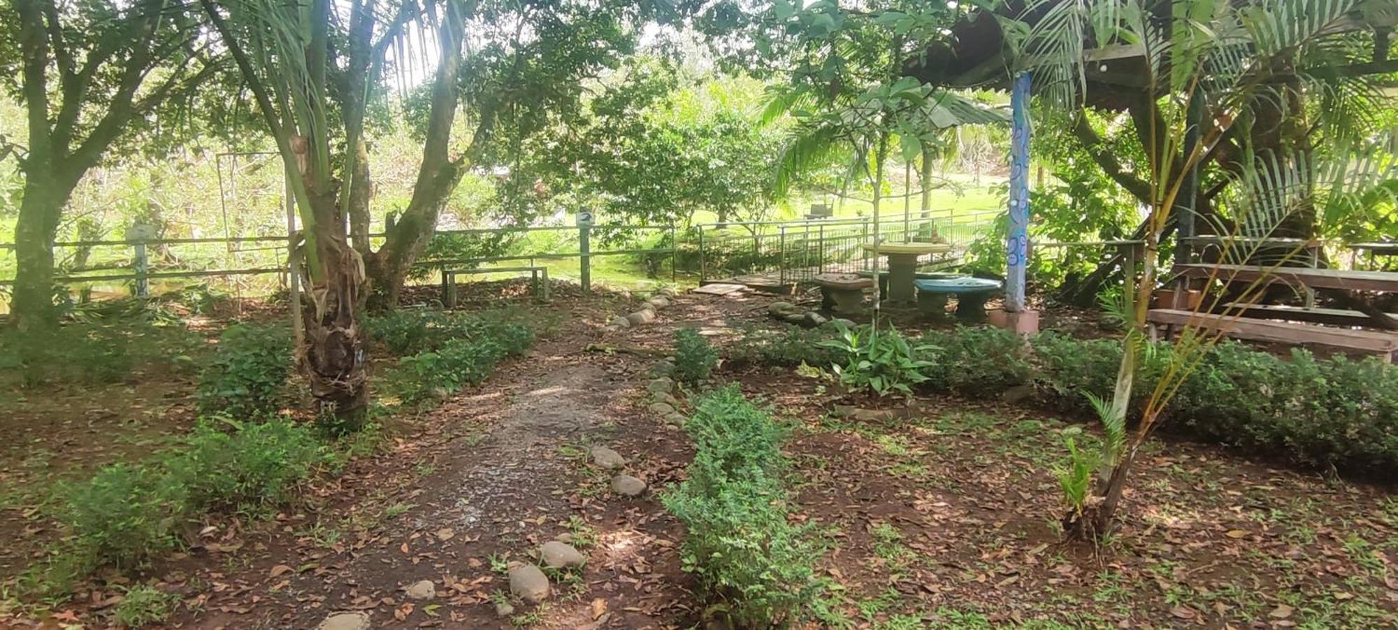 Hotel Maguey Tigre  المظهر الخارجي الصورة
